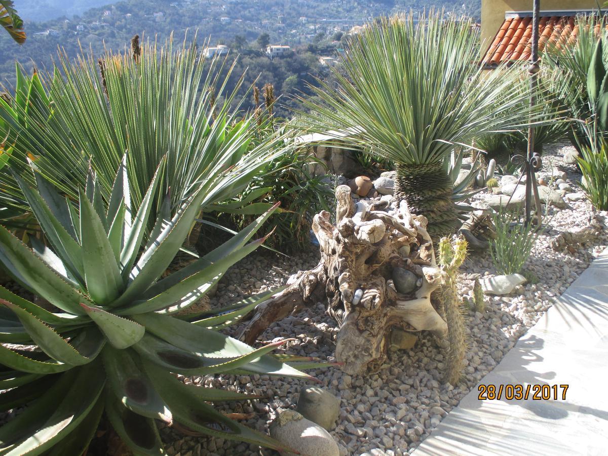 Les Mimosas Bed and Breakfast Mentone Esterno foto